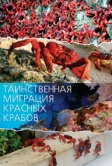 Таинственная миграция красных крабов (2020)